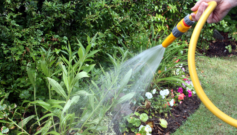 Watering 101 - Plant Nursery: Michigan Gardening Tips | Eckert's Greenhouse - Watering-the-Garden