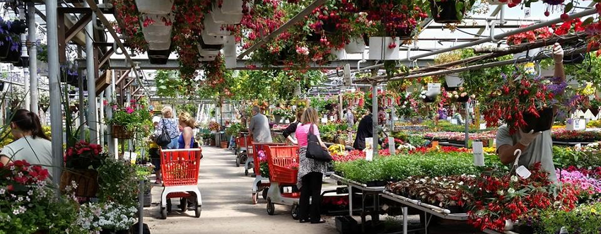 Spring - Summer - Eckerts Greenhouse - 3A