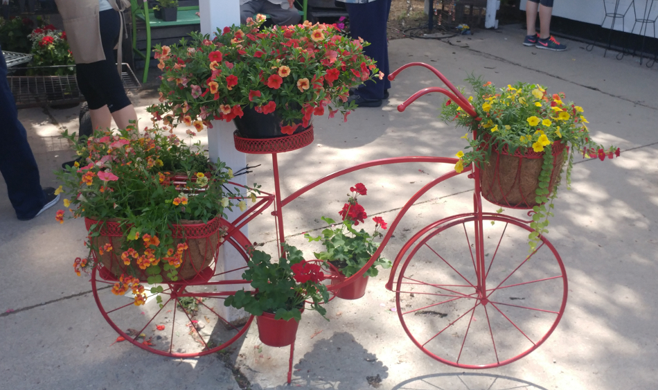 Custom Planting Orders in Sterling Heights | Eckert's Greenhouse - bike_custom