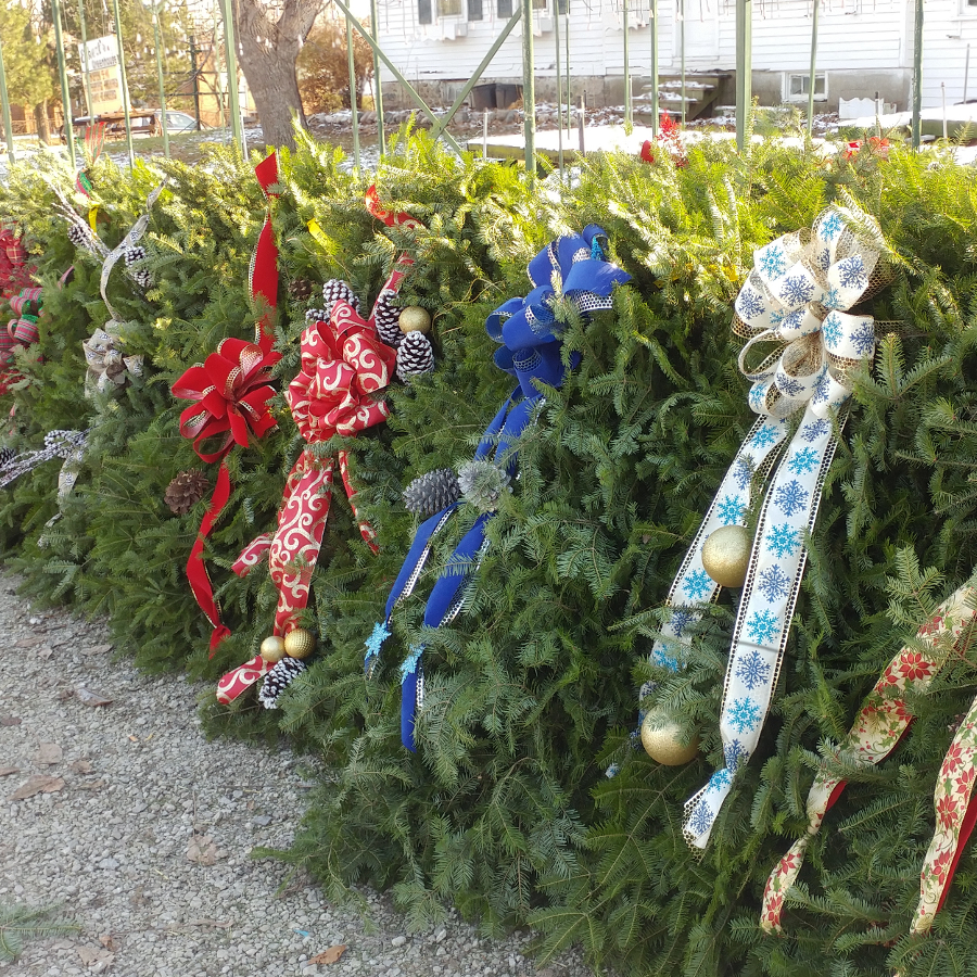 Featured Plants & Flowers - Eckerts Greenhouse - graveblankets18
